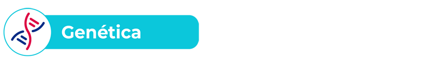 Genética