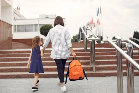 Sistema inmune, Hábitos de alimentación