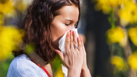 Alergias de primavera