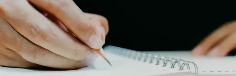 Consejos previos a la Transición Universitaria