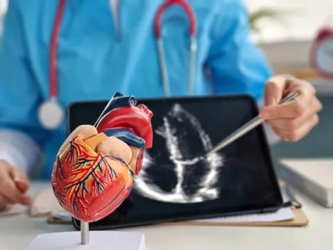 Médico explicando con un corazón de plástico