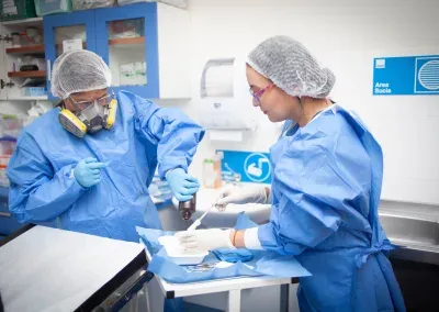 Procedimineto Quirúrgico