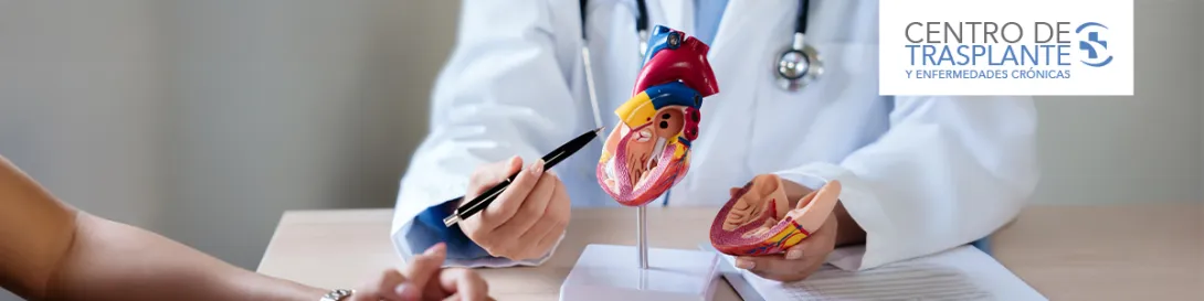 Médico explicando con un corazón de plástico