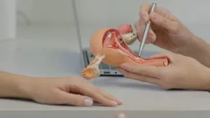 Cáncer cervicouterino: ¿Cuáles son las causas de esta enfermedad?
