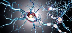 ¿Cómo actuar ante una crisis de epilepsia?